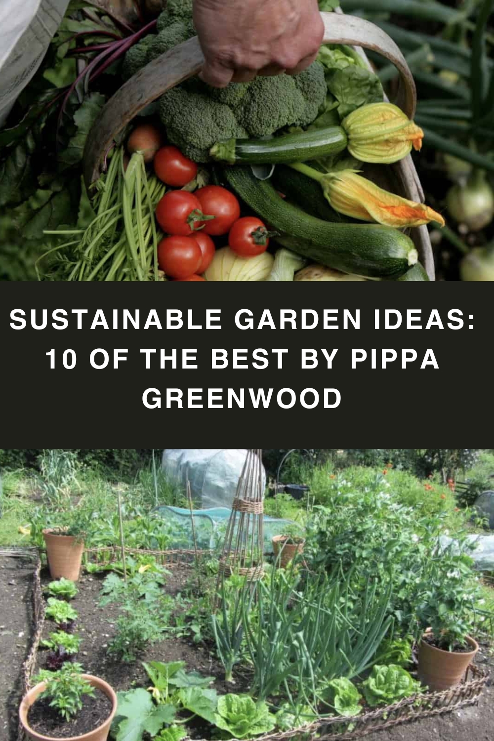 Sustainable garden ideas: 10 of the best by Pippa Greenwood pin