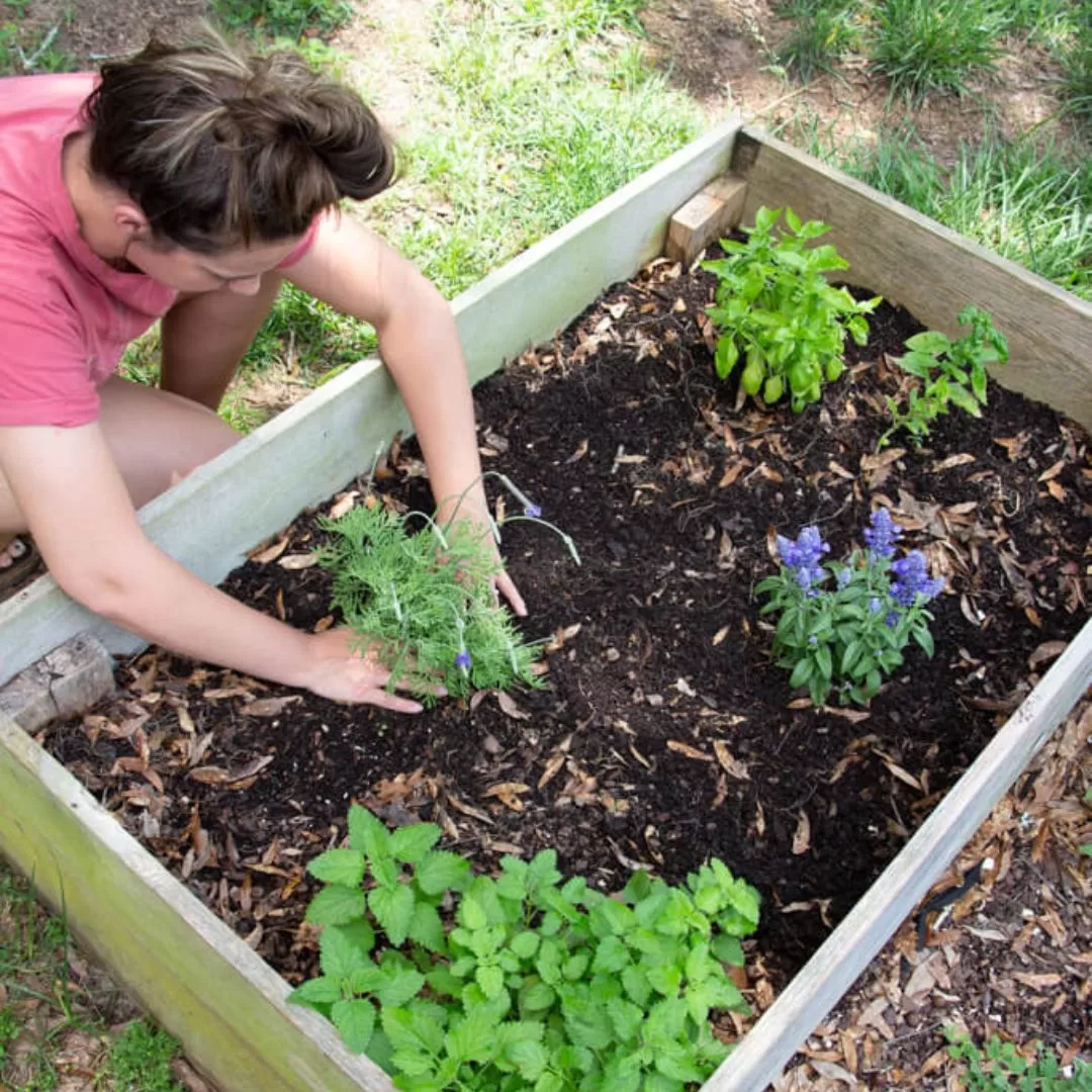 30 Simple Tips For Growing In Raised Garden Beds