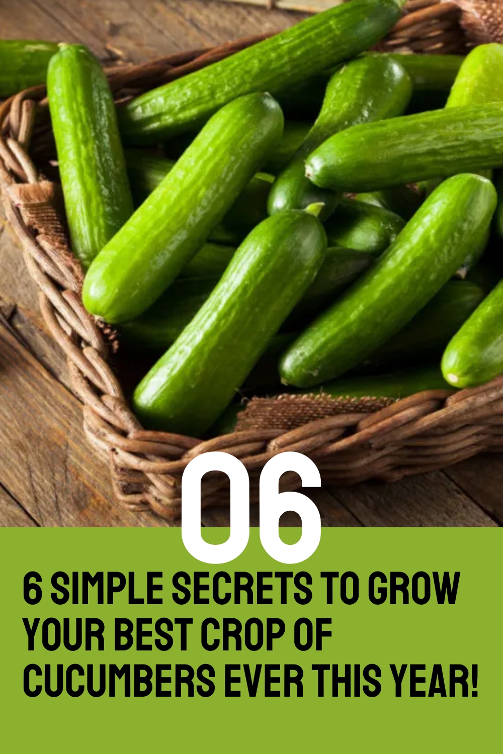 6 Simple Secrets To Grow Your Best Crop Of Cucumbers Ever This Year!
