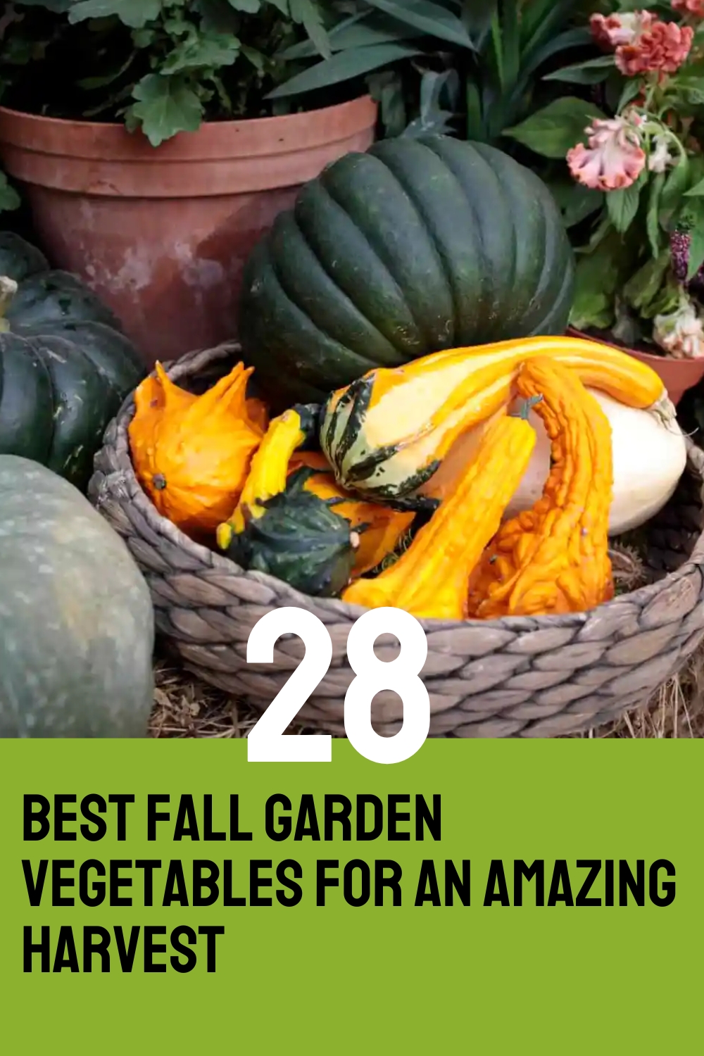 28 Best Fall Garden Vegetables For An Amazing Harvest
