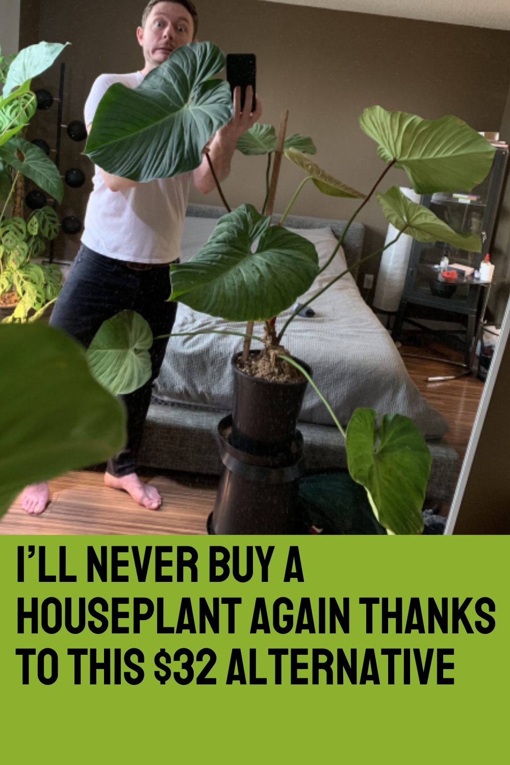 I’ll Never Buy a Houseplant Again Thanks to This $32 Alternative