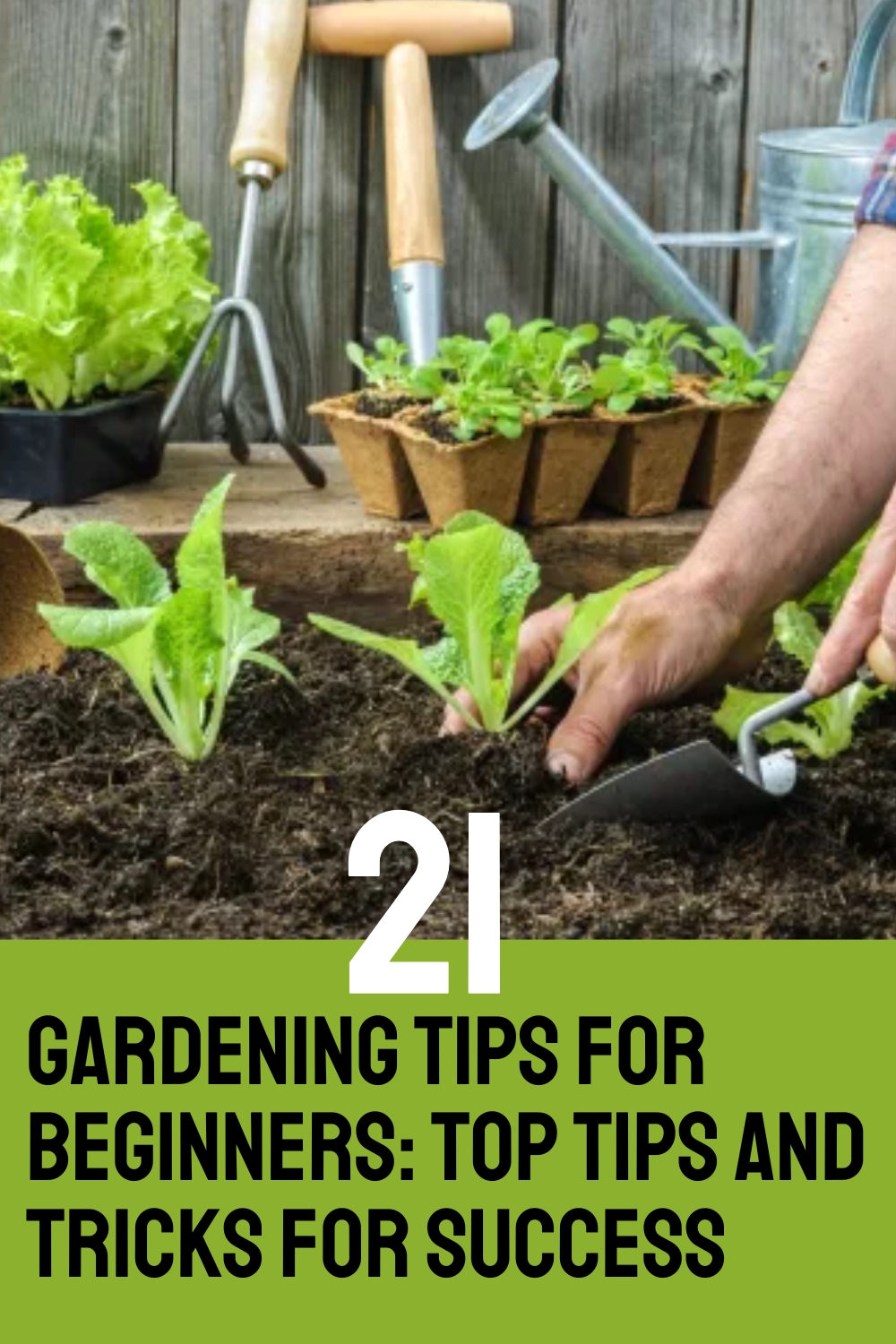 21 Gardening Tips For Beginners: Top Tips and Tricks for Success
