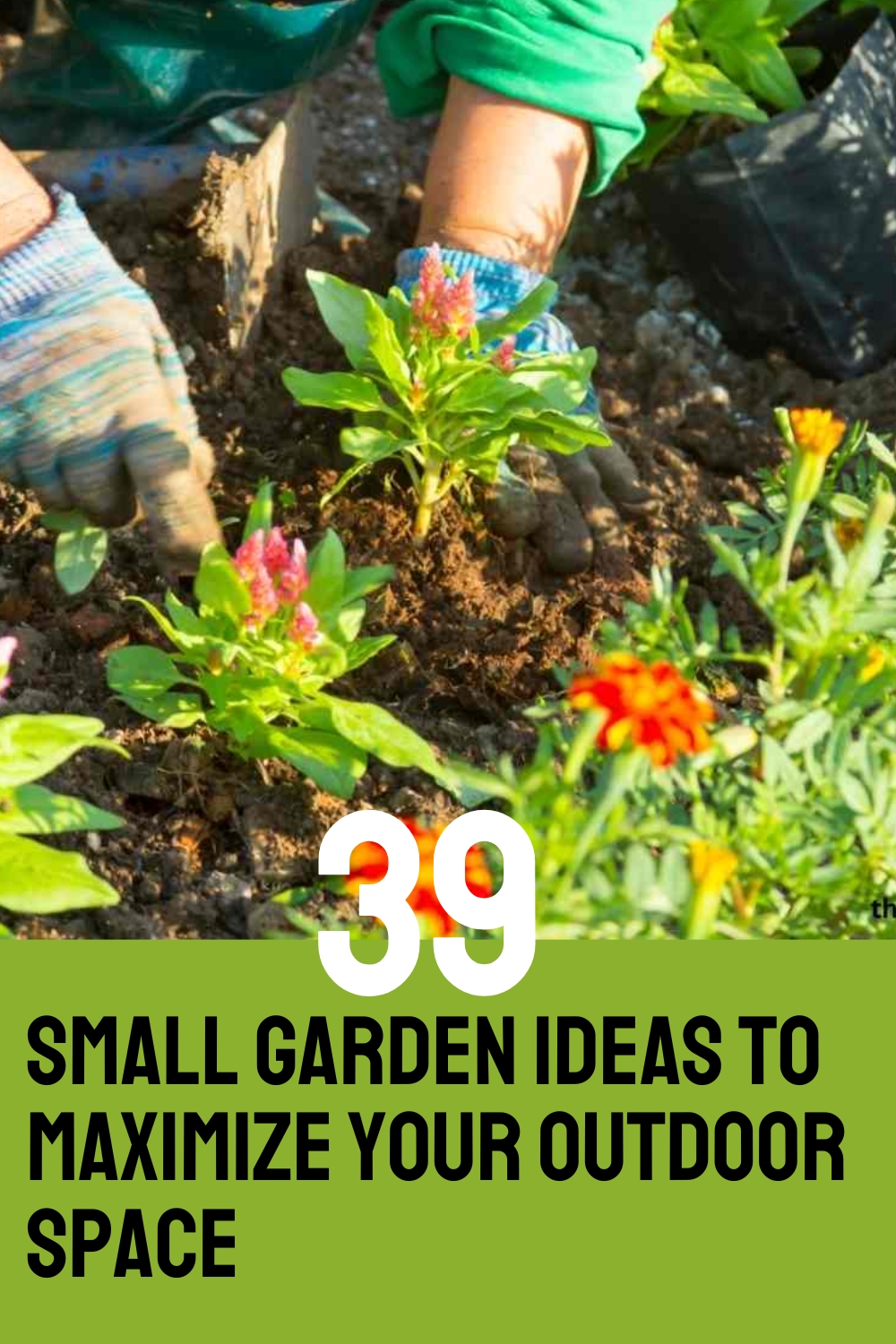 39 Small Garden Ideas: Transform Your Outdoor Space with These Simple Tips
