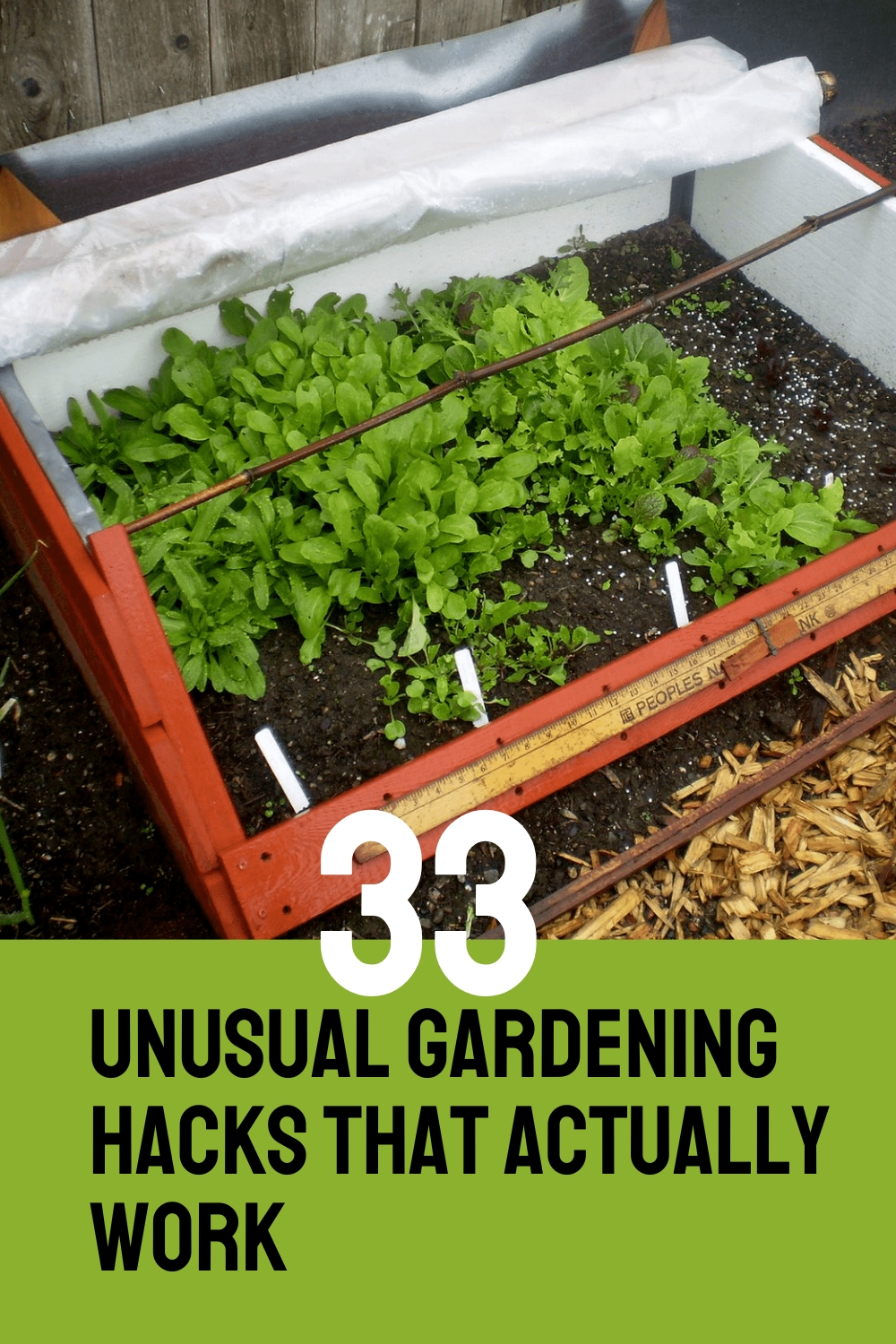 33 Unusual Gardening Hacks That Actually Work
