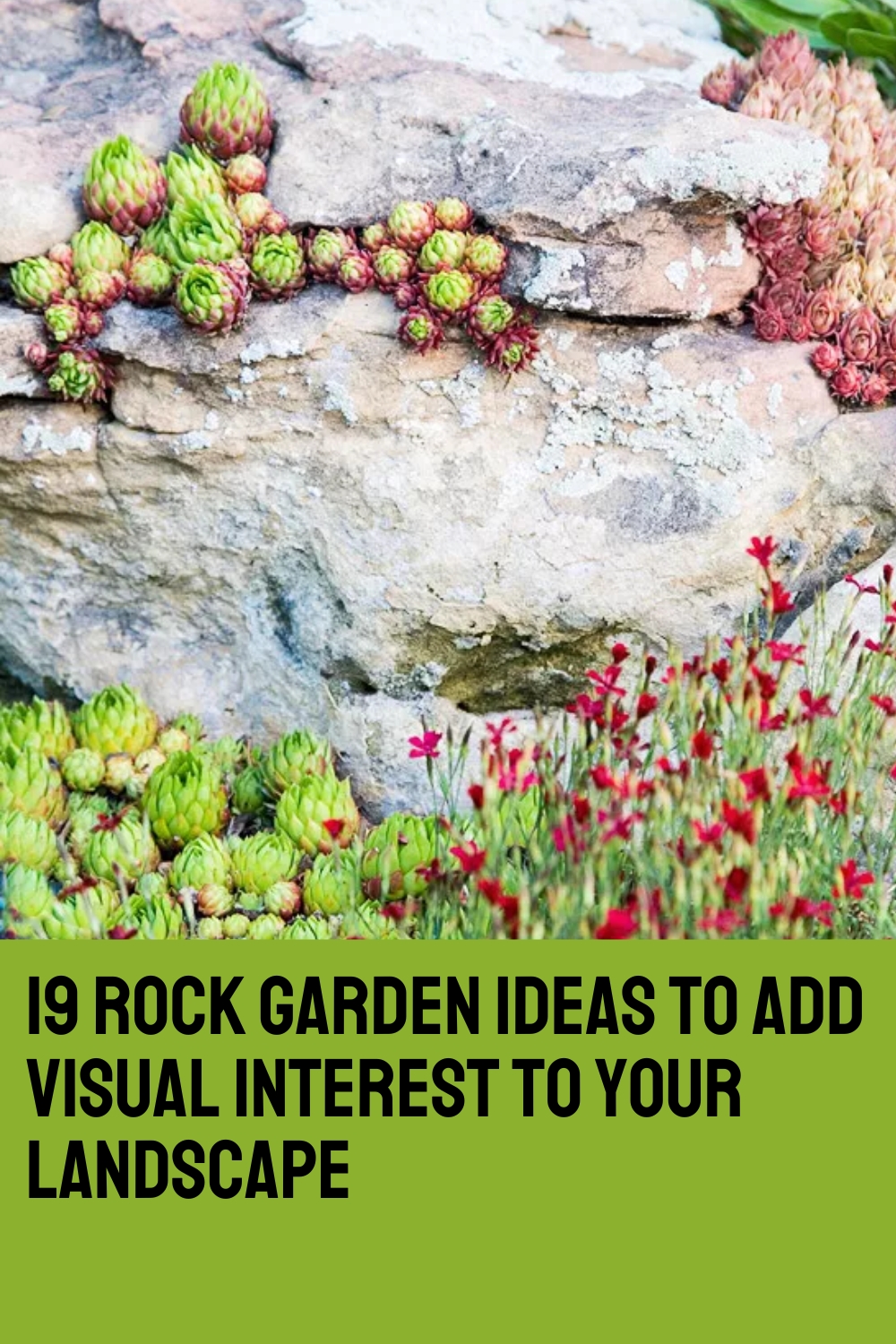 19 Rock Garden Ideas to Add Visual Interest to Your Landscape
