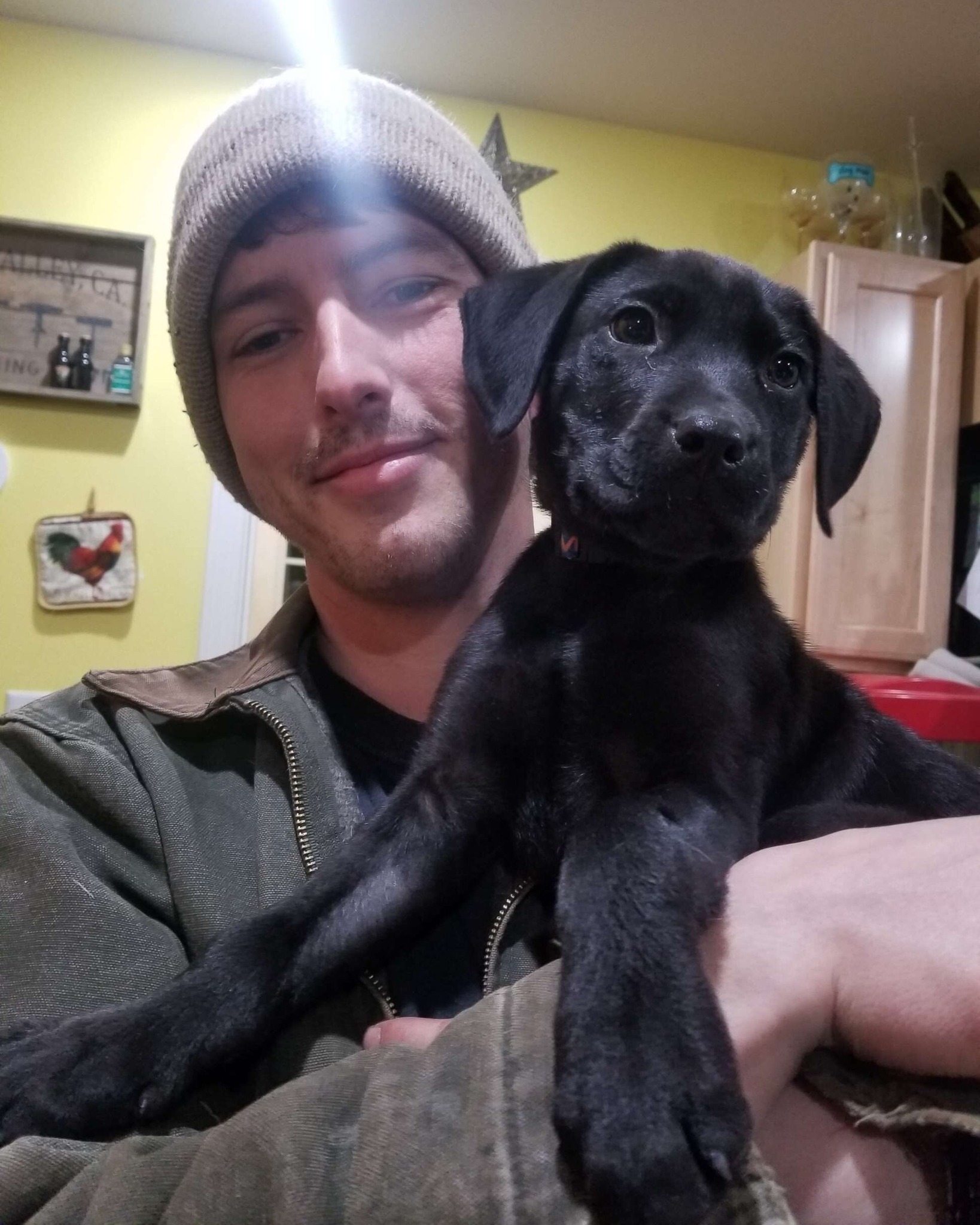 A Deaf Boy and a Deaf Puppy: A Friendship Written in Fate