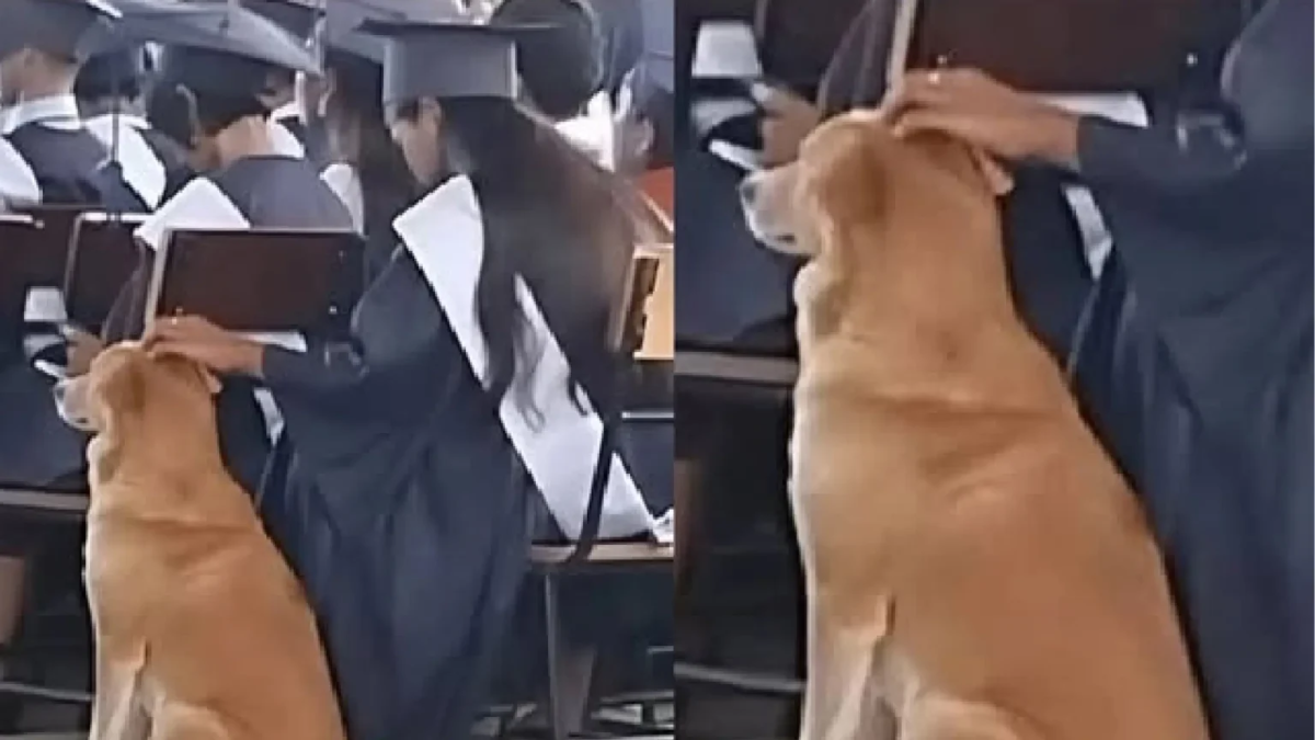 Graduation, Loyalty, and a Dog Named Browny — a heartwarming Tuguegarao story