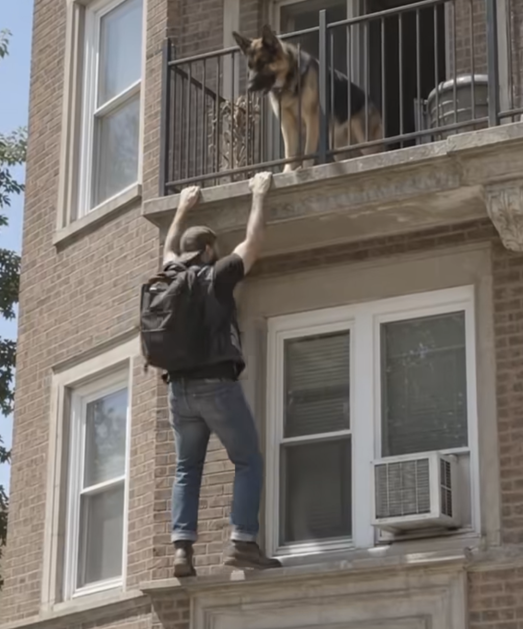 I Called The Cops On The Biker Climbing My Neighbor's Balcony Until I Saw What He Was Feeding